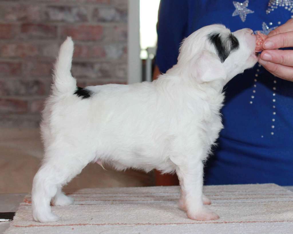 Chattanooga's Jumankauta Juu Nääs