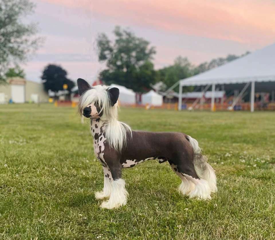 Taja Devil went down t Georgia