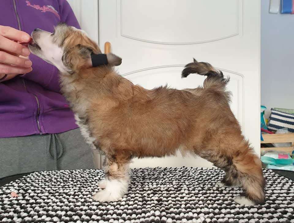 Viuvaun Nobody But Me