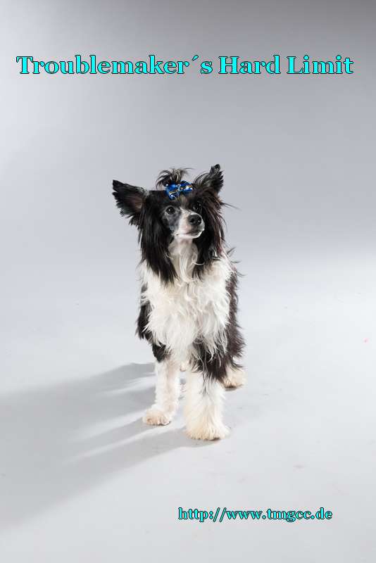 Troublemaker's Hard Limit