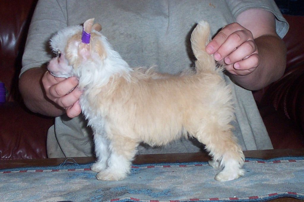 Spiritual Mosaic Resist Temptation