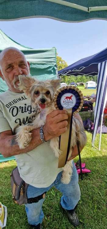 Daisy ze Zlocistego Raju