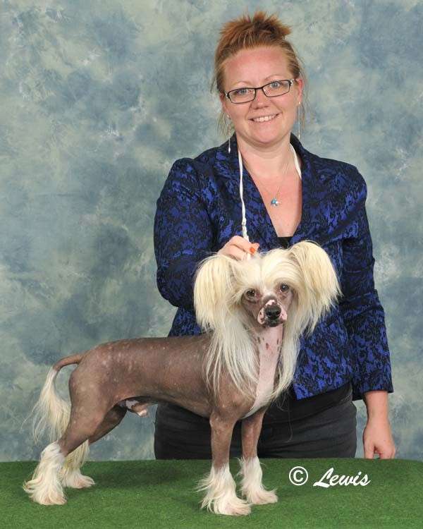 Winterkloud Gingerbread by Ttewood