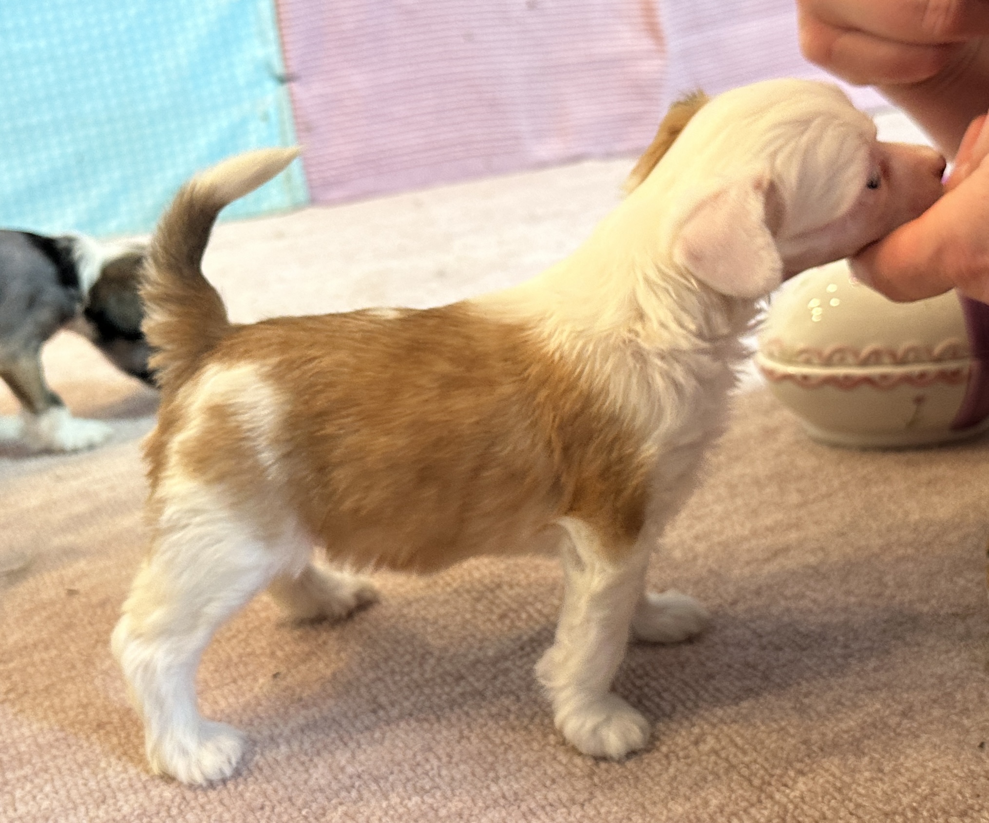 Prefix My Cup Of Tea