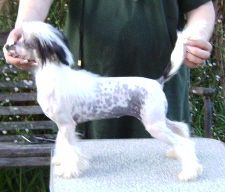 Kalan Earlylite Optical Illusion