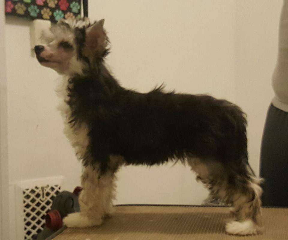 Sterling We Will Never Be Apart