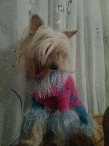 Zosia Talisman Moey Udachi