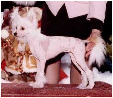 Jhansi Bodeswell For N'CO.