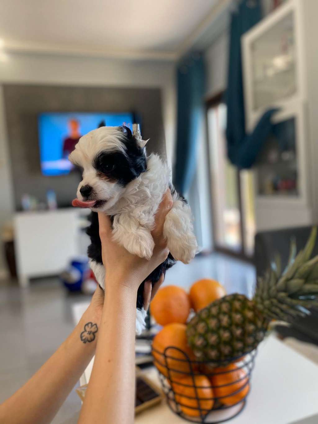 Aron Dzikie Jagódki