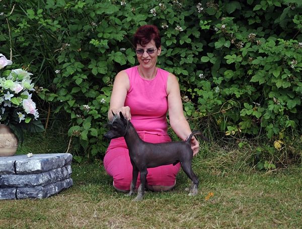 Tilea's Missing Link