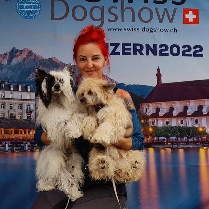 Daisy ze Zlocistego Raju