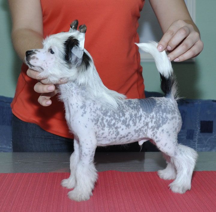 Helen Hope 's Bernard