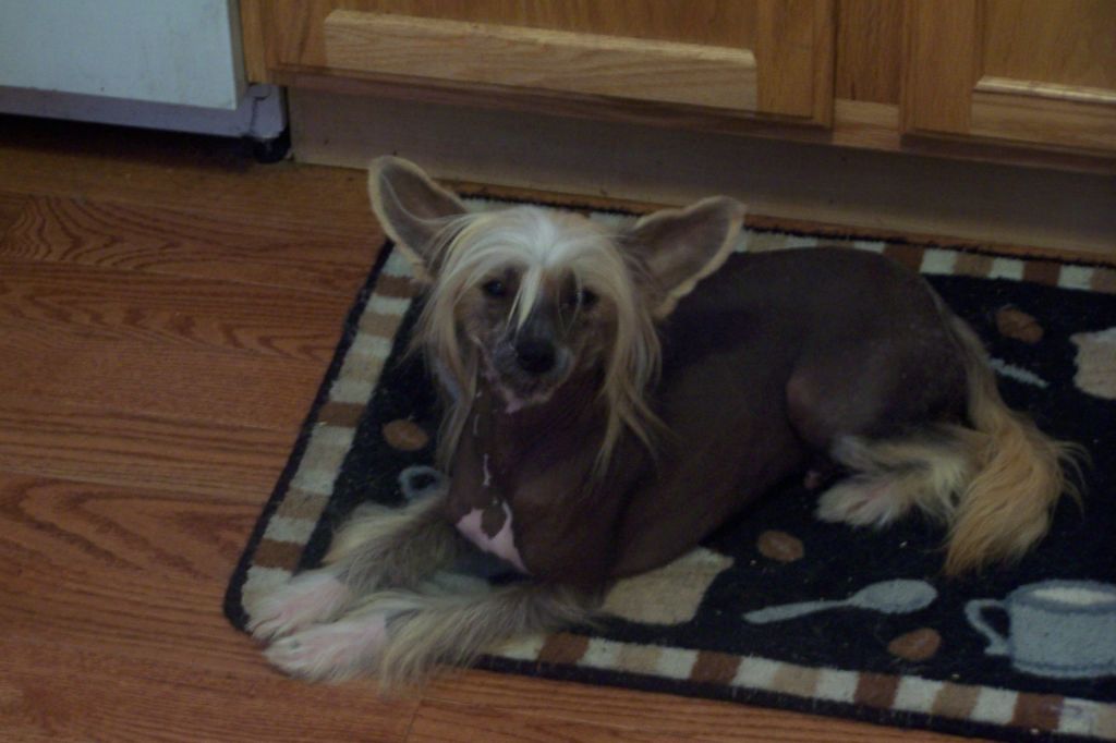 Bravo's Spirited Away