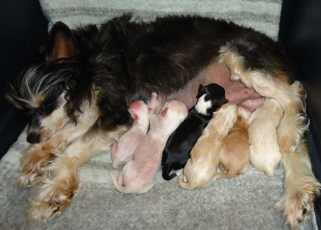 Hampton Court's Keep the Faith V Legend