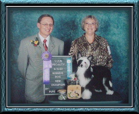 Woodlyn White Admiral