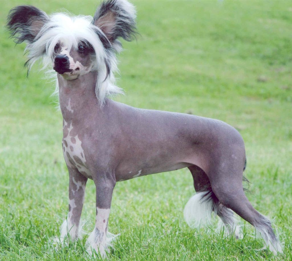 Nisyros Bring On The Bling For Khandro