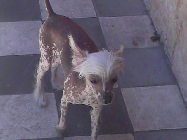 Mailen Quimey Caricias