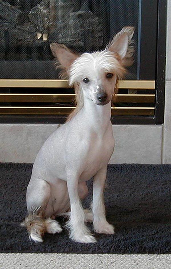 Kasma's Trick Or Treat