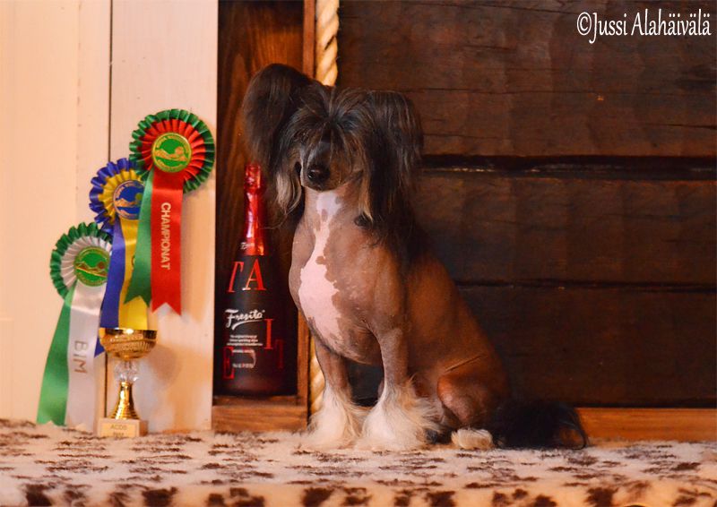 Silent Key's Nightless Night