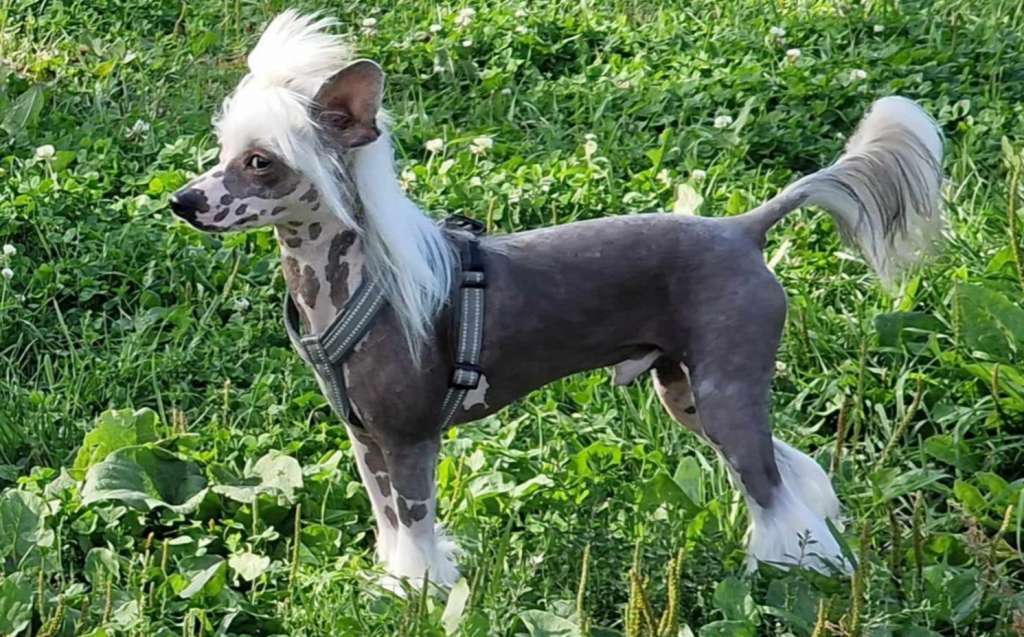 Joyway's By Heart And Soul