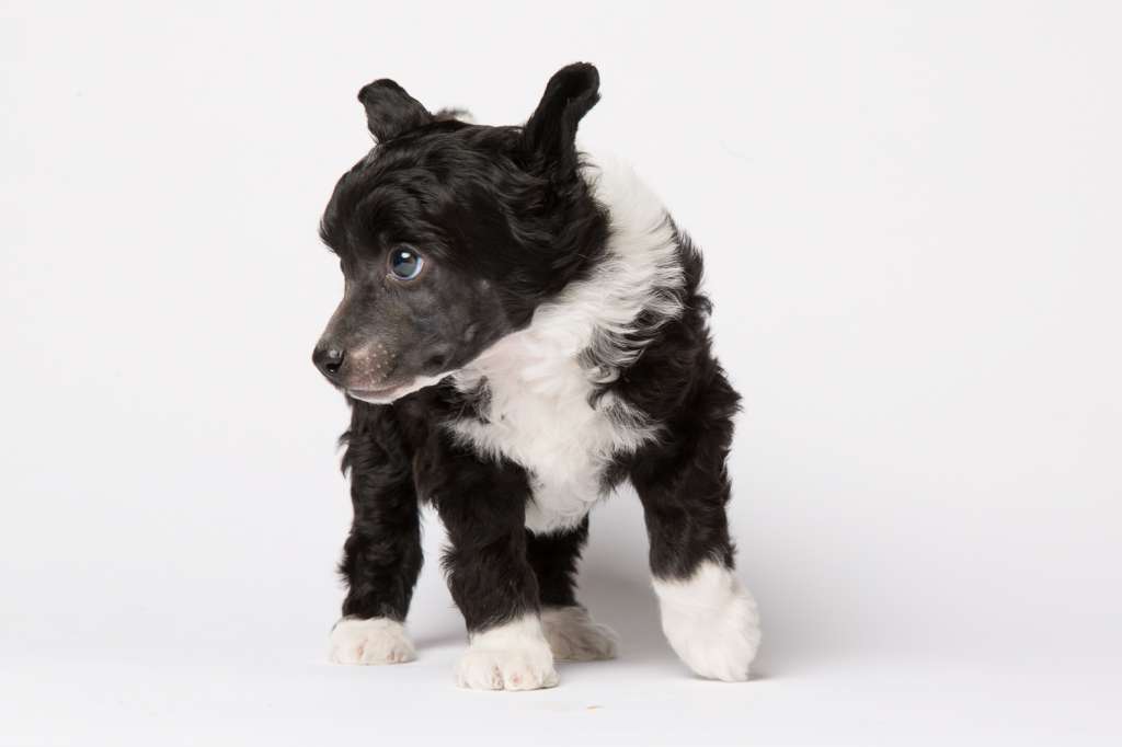 Tinted's Light In The Darkness