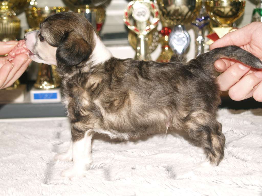 Black-Diva's Tukka Takussa After Rock