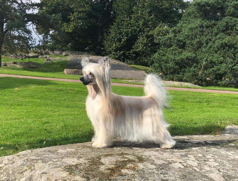 Arte Figure Not That Kind