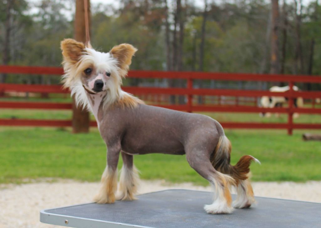 Dasha's A Lil Bit Sideways At Cabaret