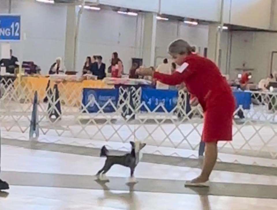 Dashas Mattress Actress