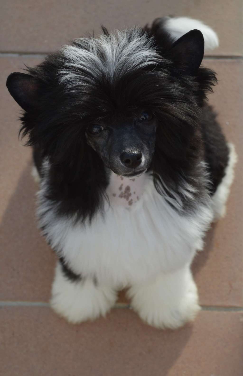 Magnus Staff Gate to 2021