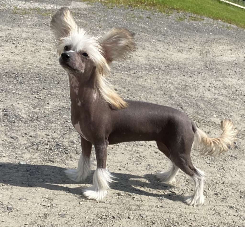 Moelmo's Kiss And Make Up