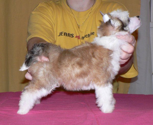 Julliette ze Zatopene Chajdy