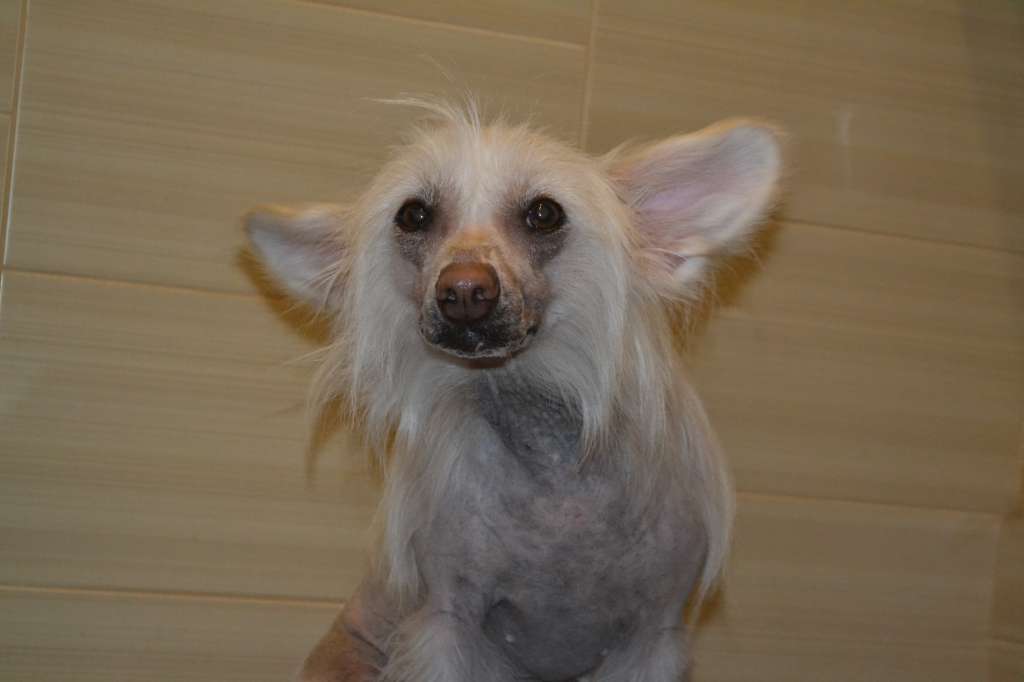 Landkris Natalie Great