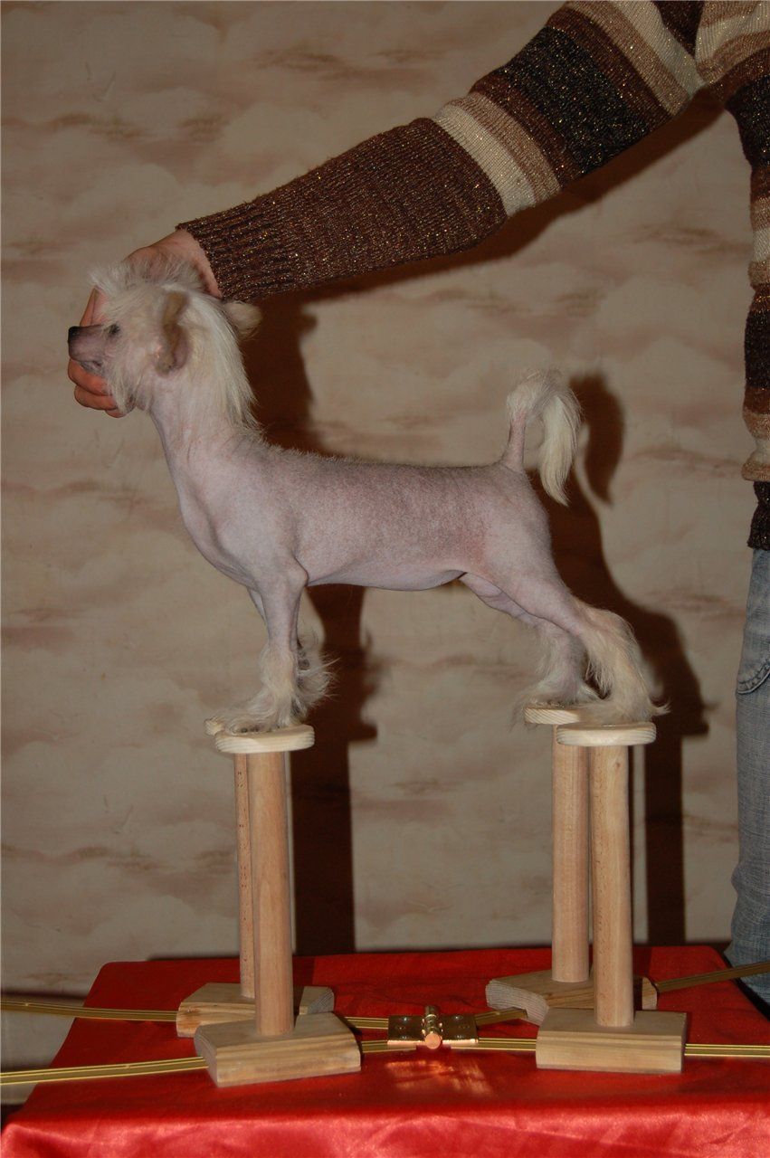 Karamyelka East Sharm