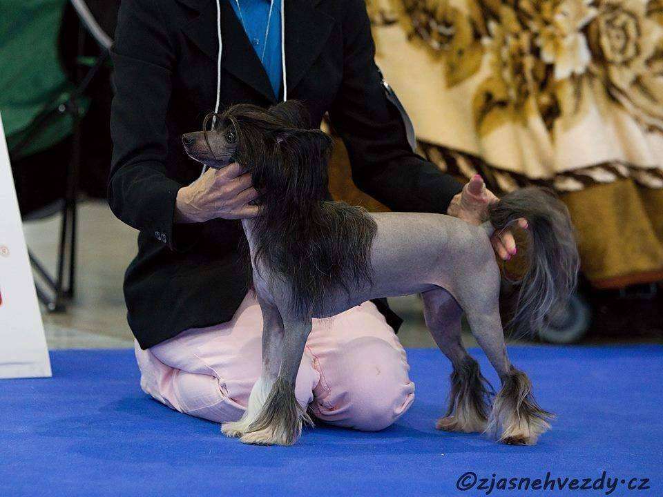 Terra - Cotta Kalis z Treste