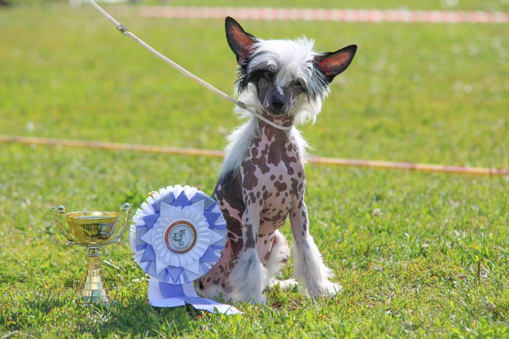 FutureLine Felicie Evelange