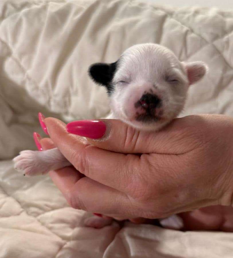 Jamming's Unforgettable