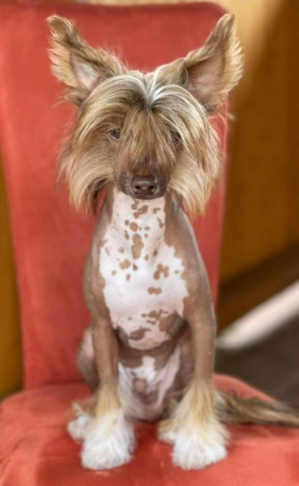 Adams Solodkyi Paradise