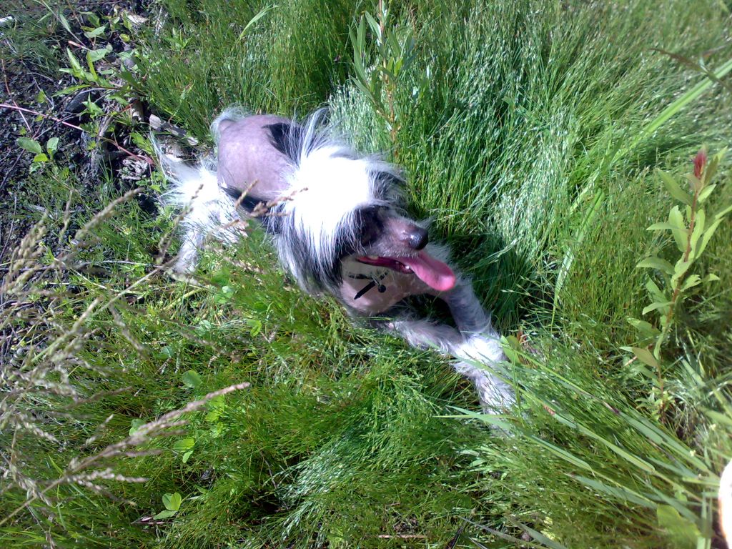 Lyus'en Eloks B'yanko