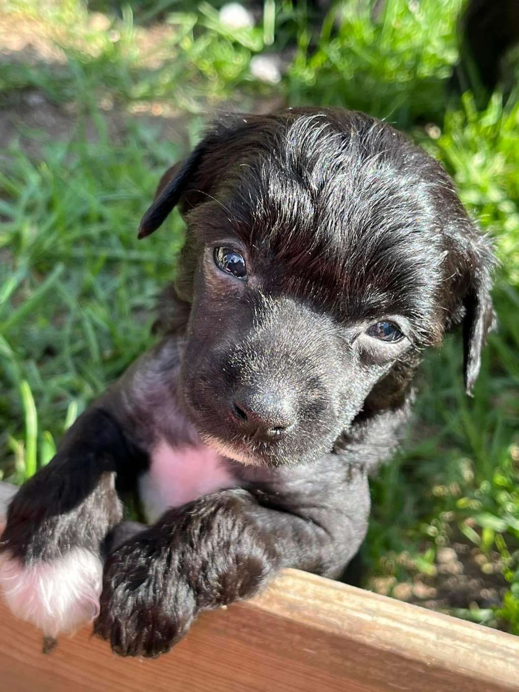 Swerotts Fake That Hell's Not Hot