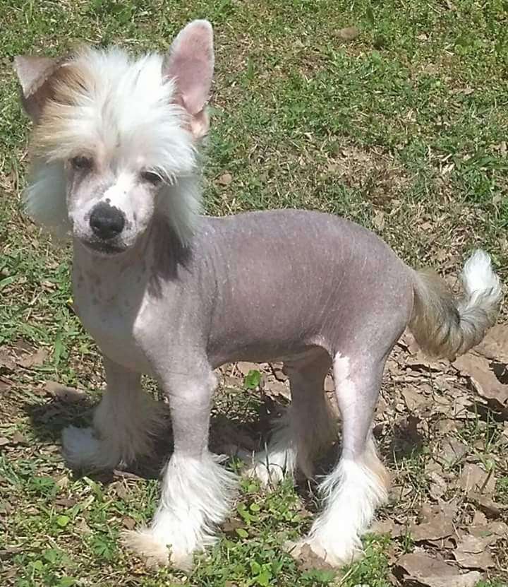 SHA's Drinkin' in the Sun