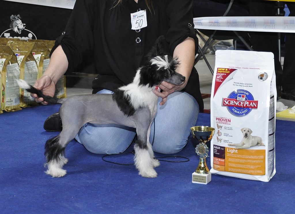 Valentýna  Modry Kvet