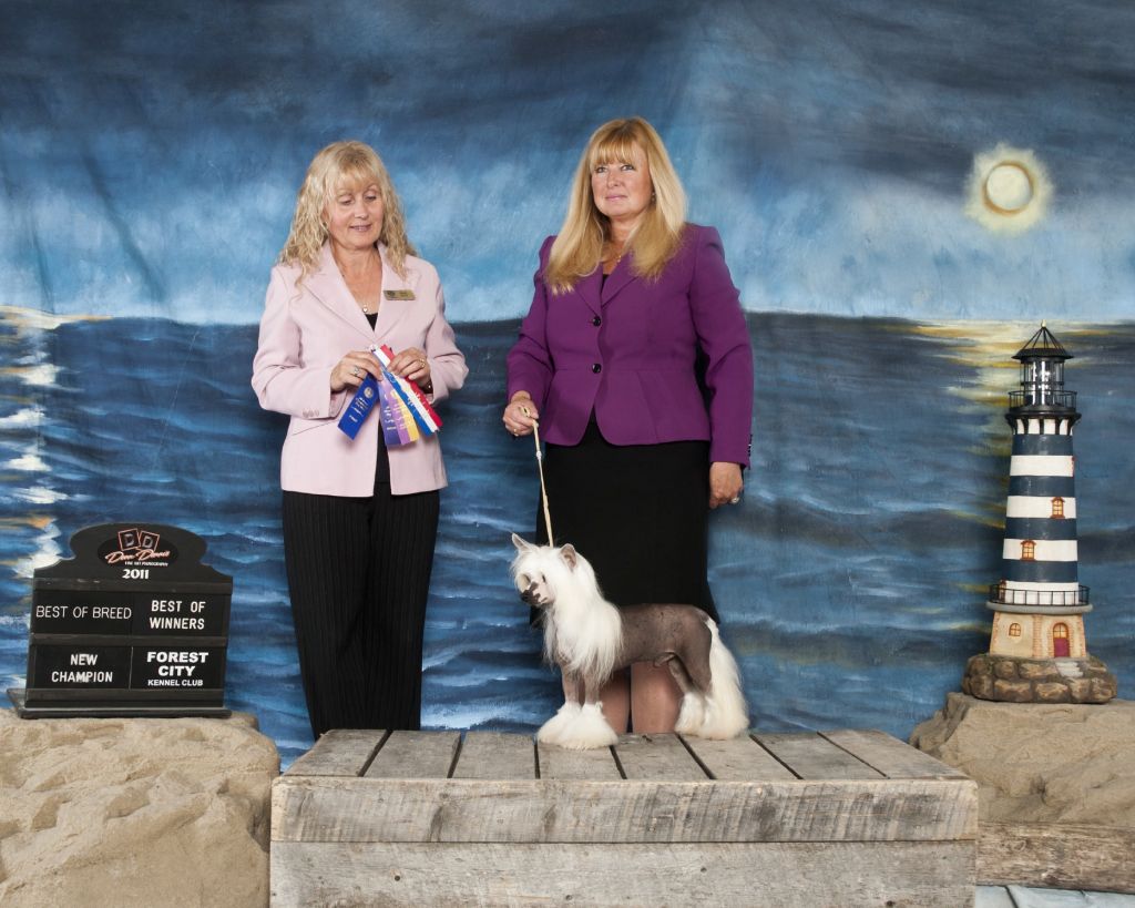 Twice as Nice Loud 'N Proud