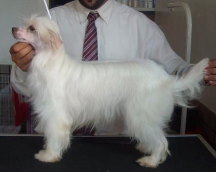 Vina Peluda do Baktaran