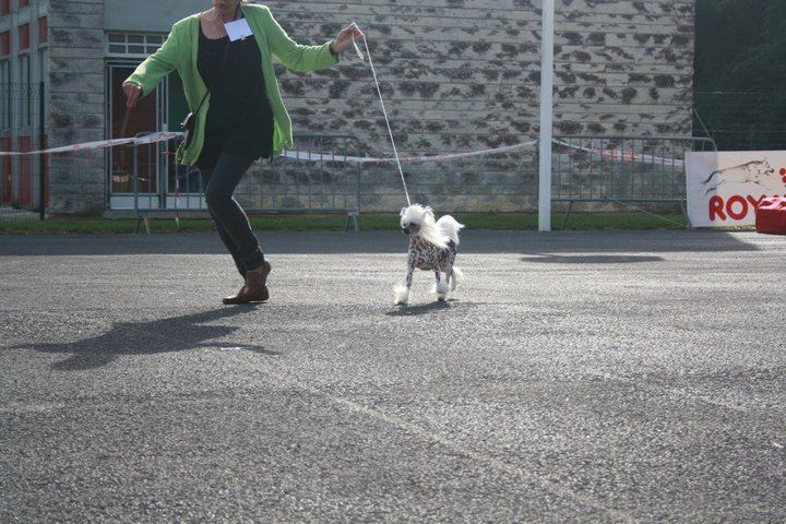 estrada du pavé de varennes