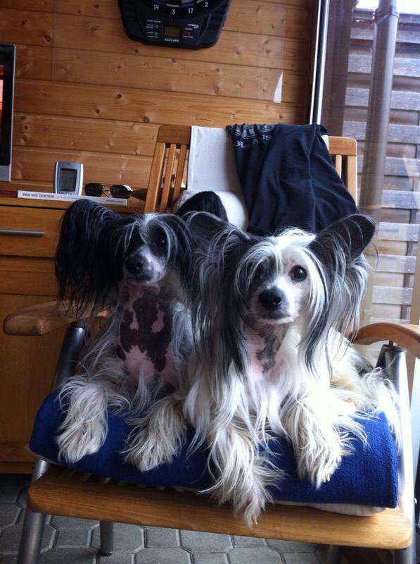 Contemporary von Shinbashi