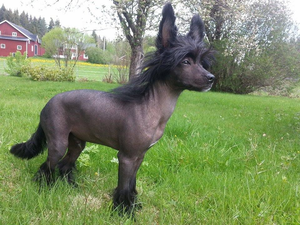 Love Bites Stay Hungry