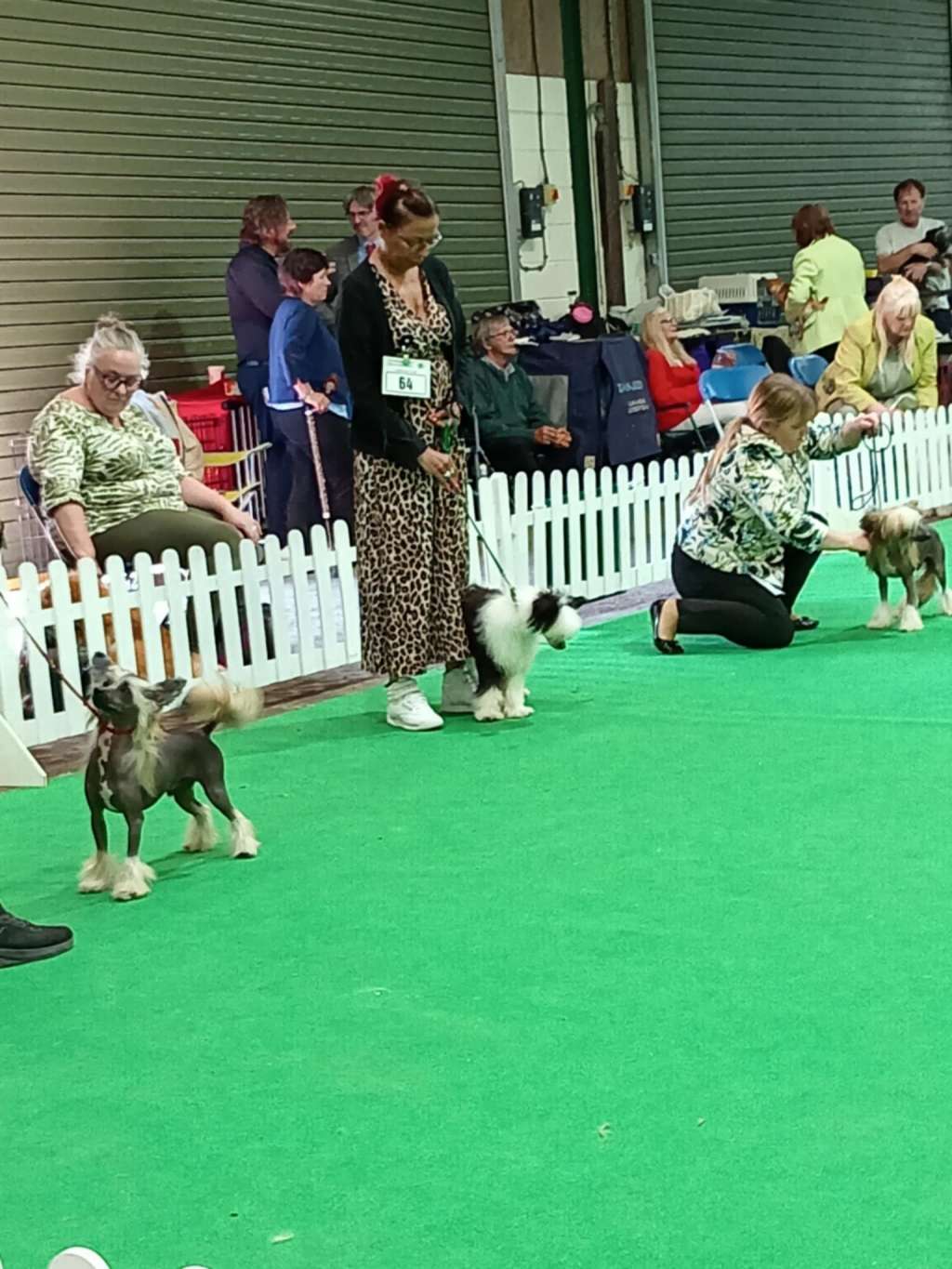 Ravana's Miracle Avokaduh for Gemadar