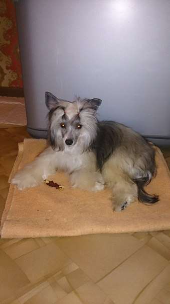 Grand Sunlife Teoklea