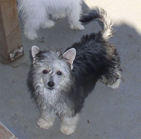 Hi-Life's Tang Gao Of The Sun